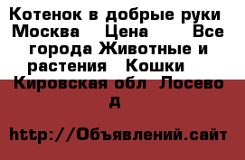 Котенок в добрые руки. Москва. › Цена ­ 5 - Все города Животные и растения » Кошки   . Кировская обл.,Лосево д.